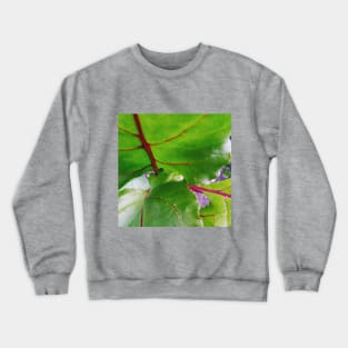 Red Beet Foliage Crewneck Sweatshirt